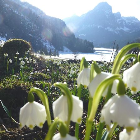 Berghotel Obersee Näfels Dış mekan fotoğraf