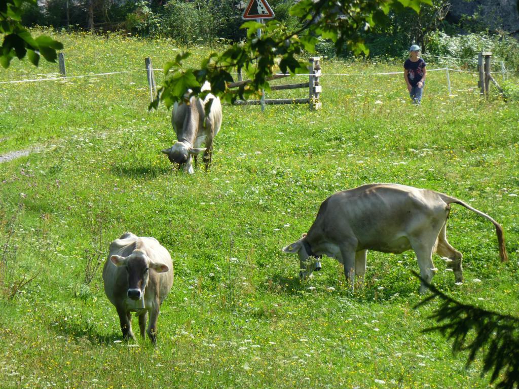 Berghotel Obersee Näfels Dış mekan fotoğraf