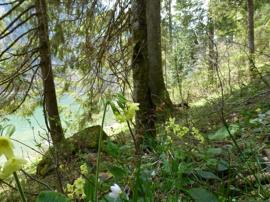 Berghotel Obersee Näfels Dış mekan fotoğraf
