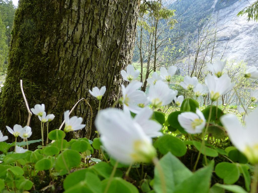 Berghotel Obersee Näfels Dış mekan fotoğraf