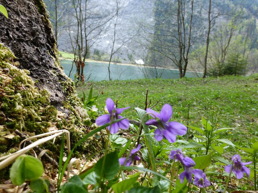 Berghotel Obersee Näfels Dış mekan fotoğraf