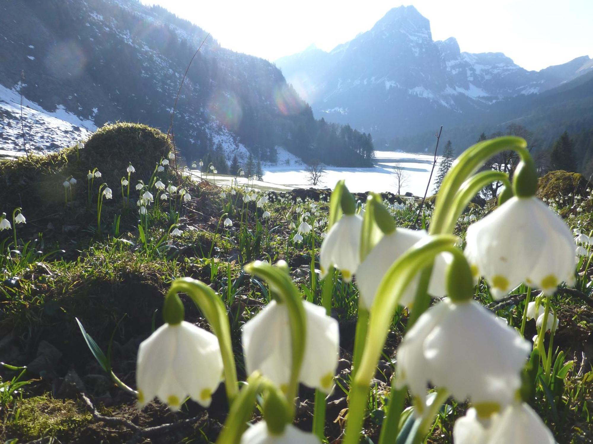 Berghotel Obersee Näfels Dış mekan fotoğraf