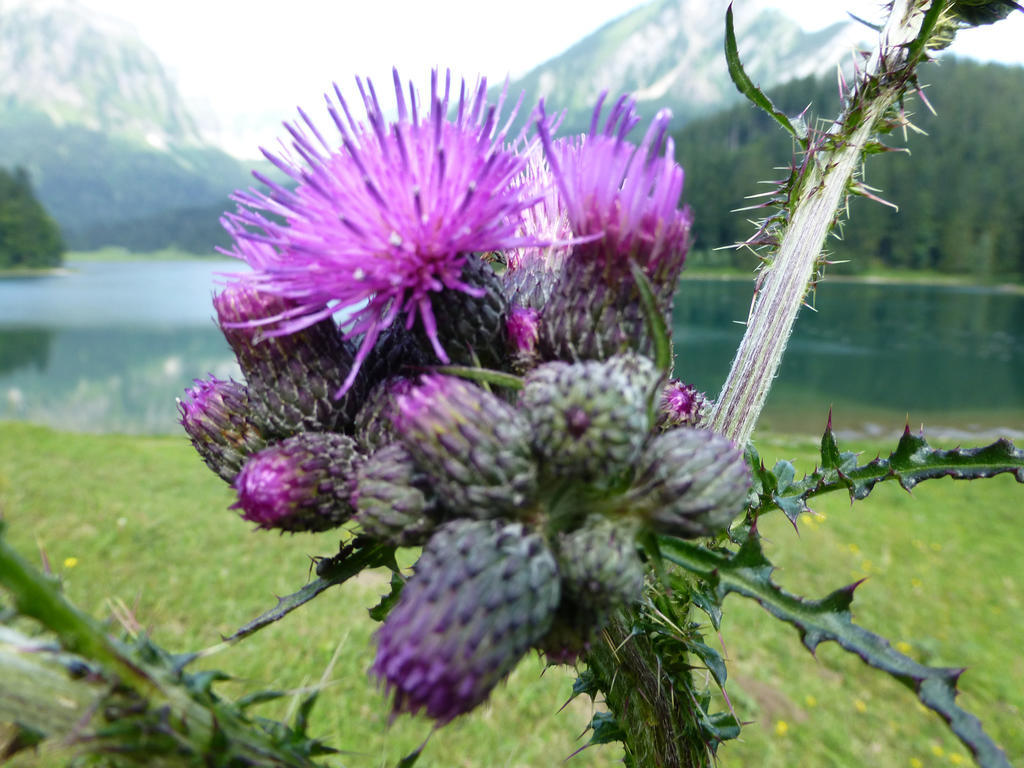 Berghotel Obersee Näfels Dış mekan fotoğraf