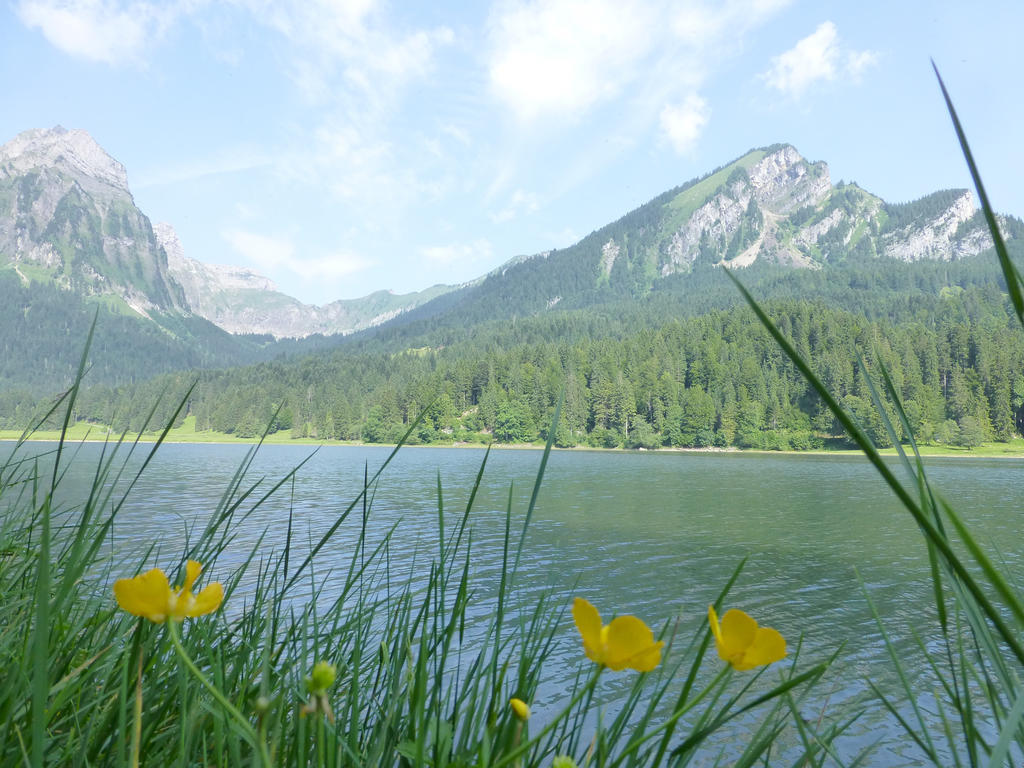 Berghotel Obersee Näfels Dış mekan fotoğraf