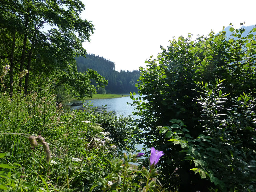 Berghotel Obersee Näfels Dış mekan fotoğraf